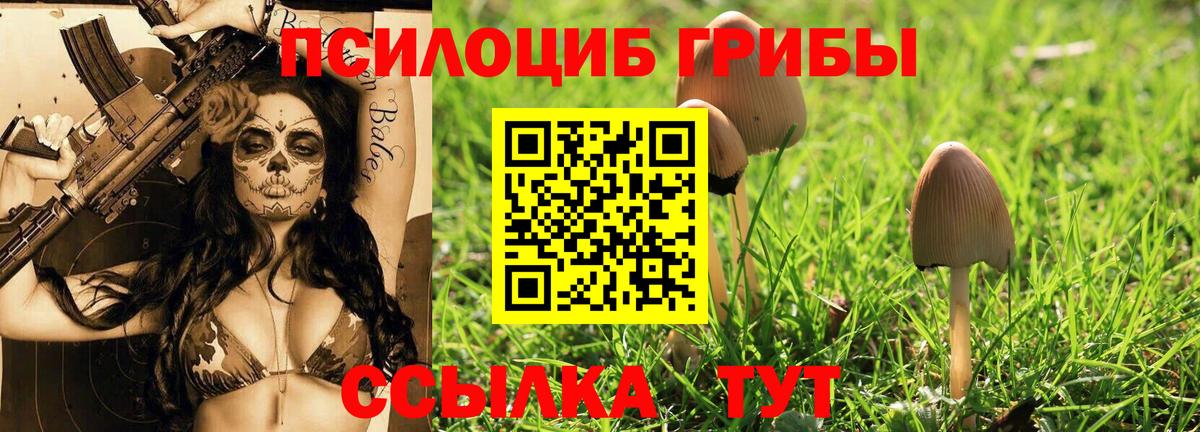 Галлюциногенные грибы Psilocybe  Галлюциногенные грибы Psilocybine cubensis  Красноуфимск  Вход с VPN 