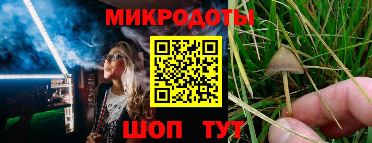 Псилоцибиновые грибы прущие грибы Красноуфимск
